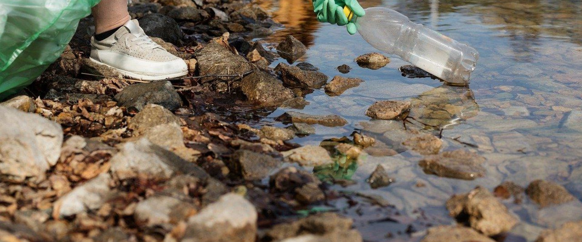 Protecting Against Air and Water Pollution: Tips for a Healthy Lifestyle