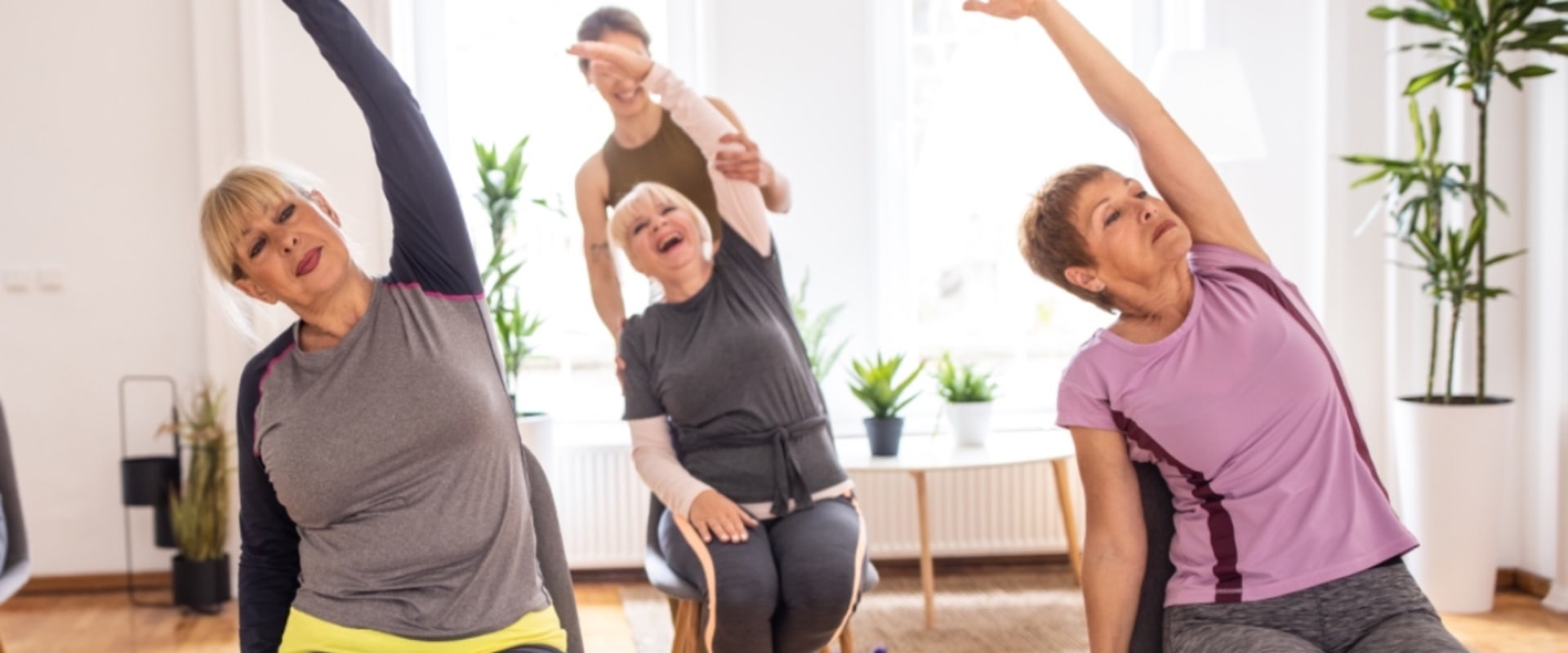 Exercises for Seniors and Individuals with Disabilities: A Guide to Improving Health and Wellness