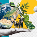 Environmental Health Hazards: Understanding the Impact on Your Well-being
