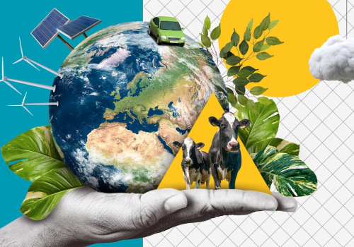 Environmental Health Hazards: Understanding the Impact on Your Well-being